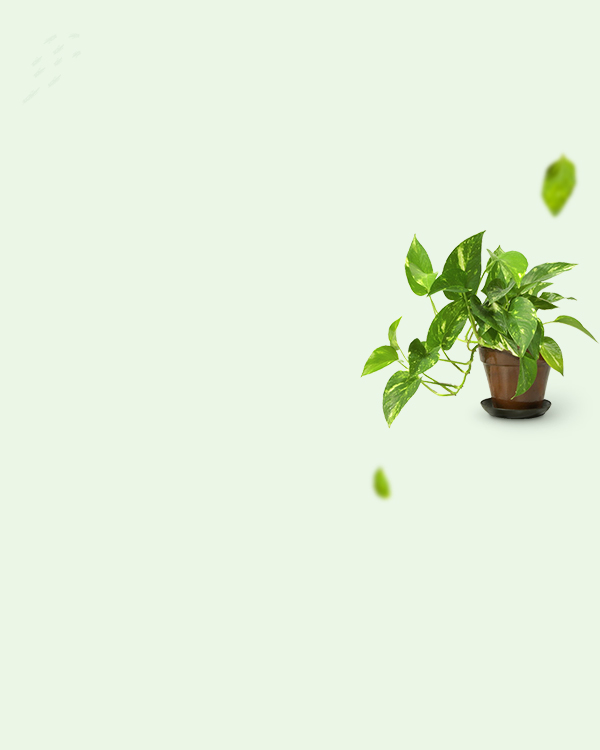 mobile-slider1