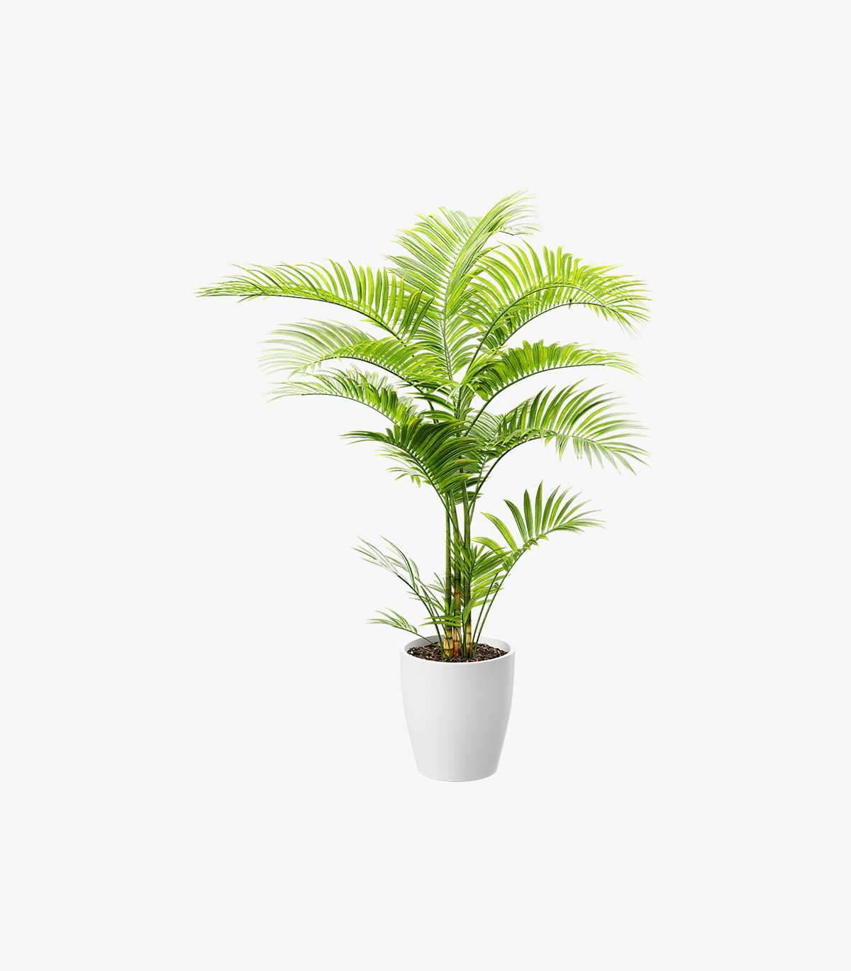 blossom-buddy-miniature-succulent-set